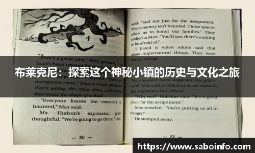 BB贝博艾弗森体育