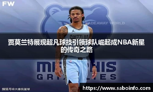 BB贝博艾弗森体育