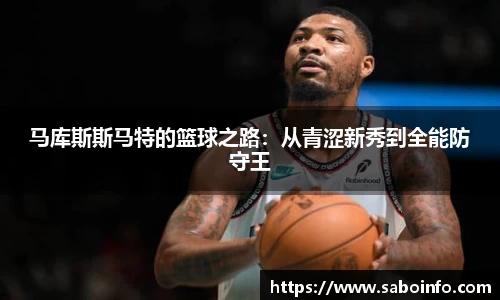 BB贝博艾弗森体育