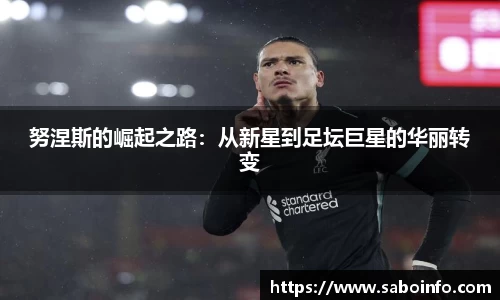 努涅斯的崛起之路：从新星到足坛巨星的华丽转变